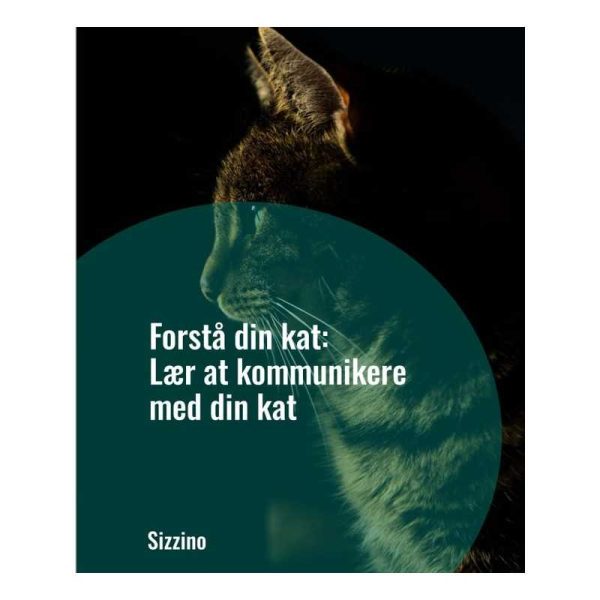 Forstå din kat: Lær at kommunikere med din kat